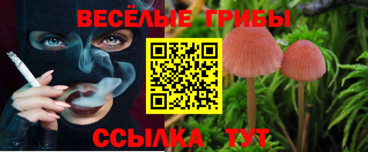 Ангарск  Галлюциногенные грибы MAGIC MUSHROOMS  Вход с VPN  Псилоцибиновые грибы Cubensis 